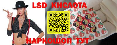 индика Владимир