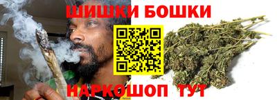 индика Владимир