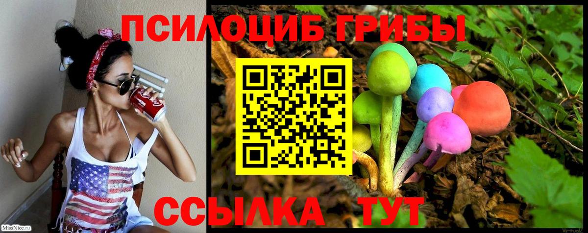 Галлюциногенные грибы мухоморы  Вход с VPN  Губкин  Галлюциногенные грибы Psilocybine cubensis 